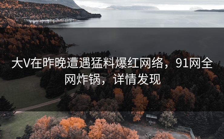 大V在昨晚遭遇猛料爆红网络，91网全网炸锅，详情发现