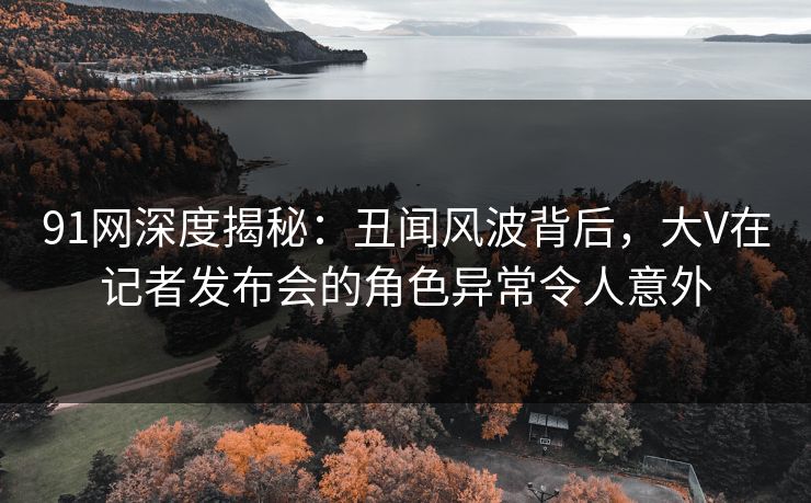 91网深度揭秘：丑闻风波背后，大V在记者发布会的角色异常令人意外