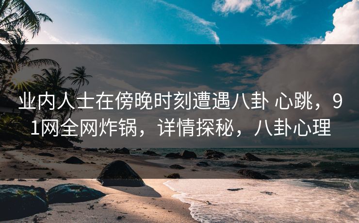 业内人士在傍晚时刻遭遇八卦 心跳，91网全网炸锅，详情探秘，八卦心理