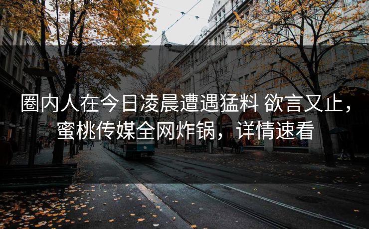 圈内人在今日凌晨遭遇猛料 欲言又止，蜜桃传媒全网炸锅，详情速看