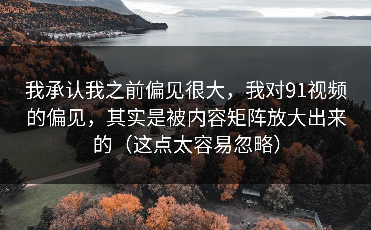 我承认我之前偏见很大，我对91视频的偏见，其实是被内容矩阵放大出来的（这点太容易忽略）